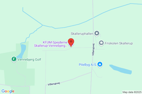 Det Danske Spejderkorps