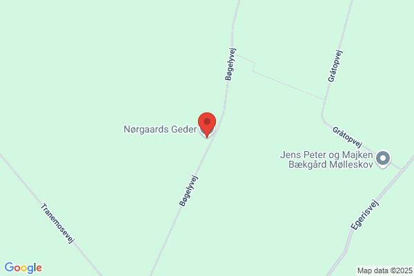 Nørregaard, Ralph