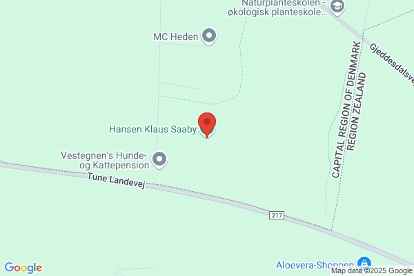 Hansen, Klaus