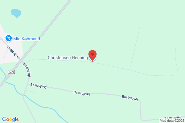 Christensen, Henning