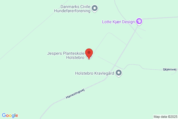 Jesper's Planteskole