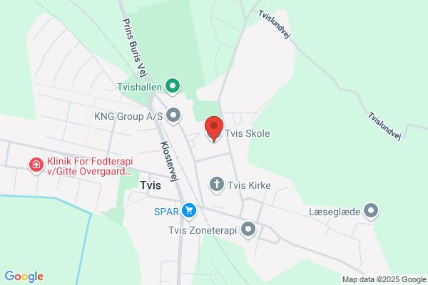 Tvis Skole