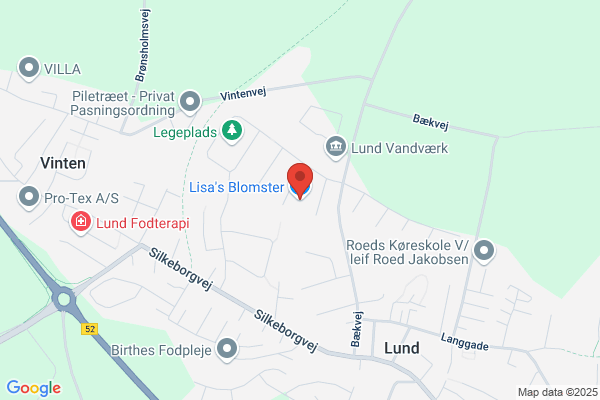 Lisa's Blomster