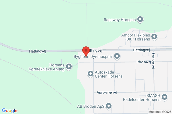Tandhjulsfabriken Horsens A/S