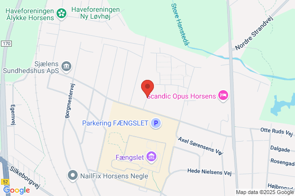Ordblindeforeningen i Vejle Amt
