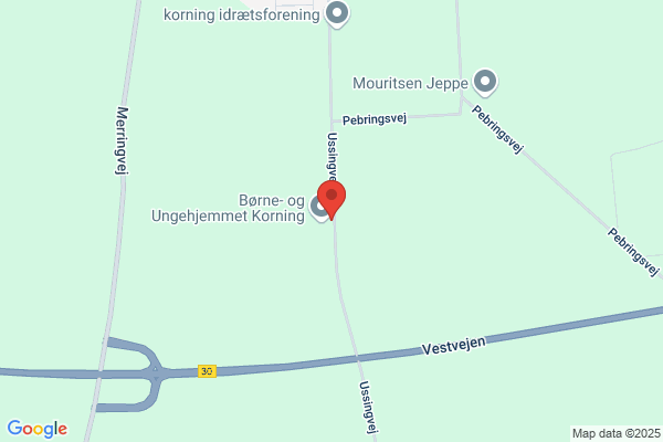 Indre Missions Unge i Korning