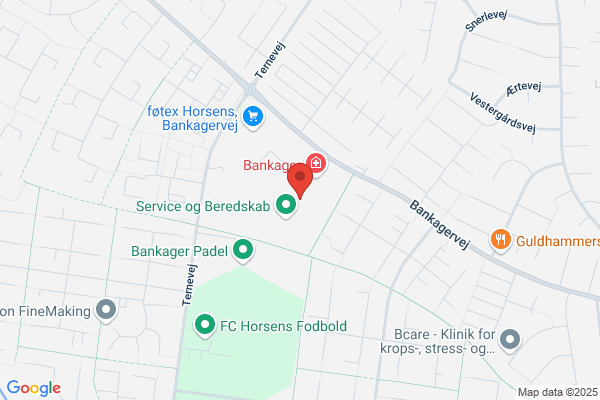 Bankagerskolen