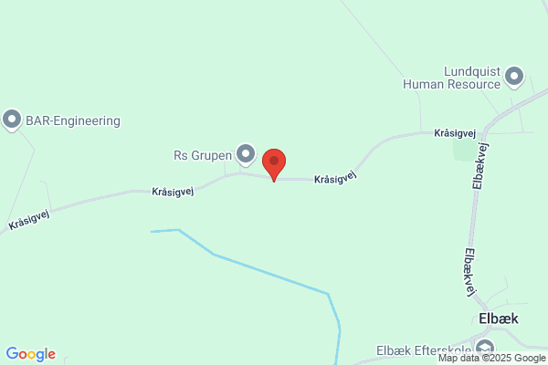 Skov, Flemming