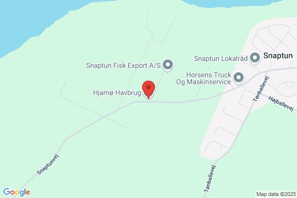 Hjarnø Beboerforening/FO
