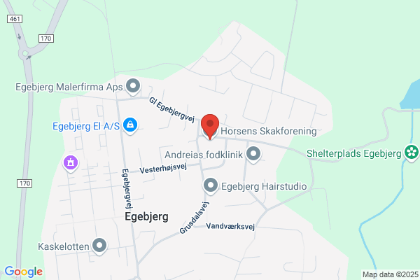 Socialistisk Folkeparti i Horsens