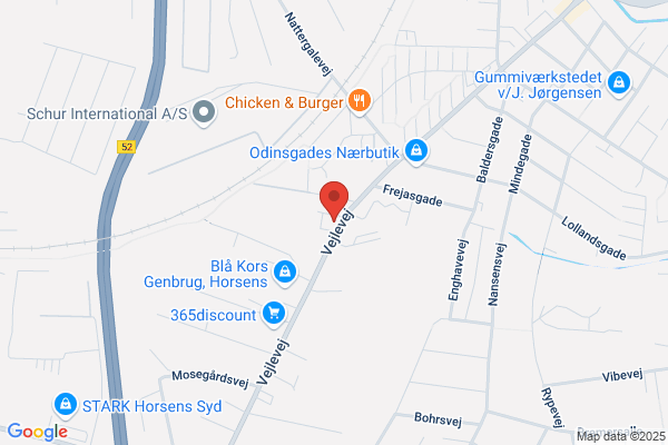 Horsens Taxa