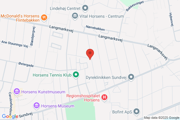 Thomsen Entreprise ApS, Poul