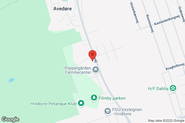 Det Skæve Brød