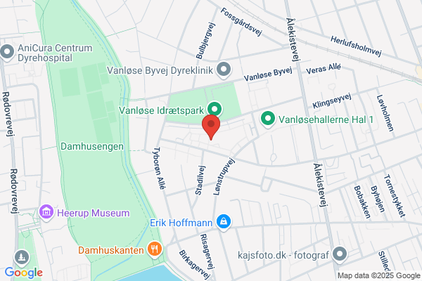 Vingesuset, Københavns Kommunes Børnehave