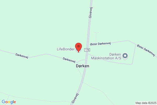 Life-In Denmark ApS