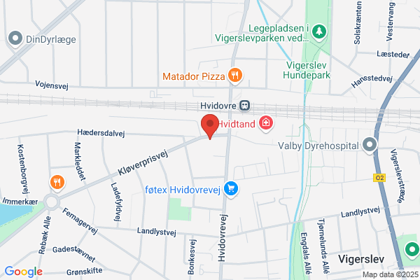 Hvidovre Blomster