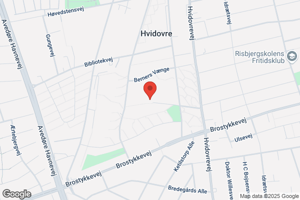 Rønnebærhuset Specialinstitution