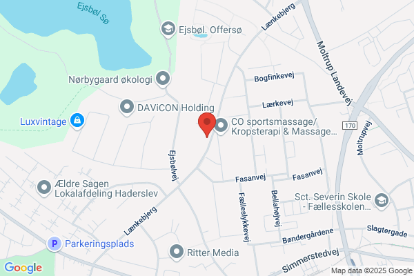 Effektiv regnskab