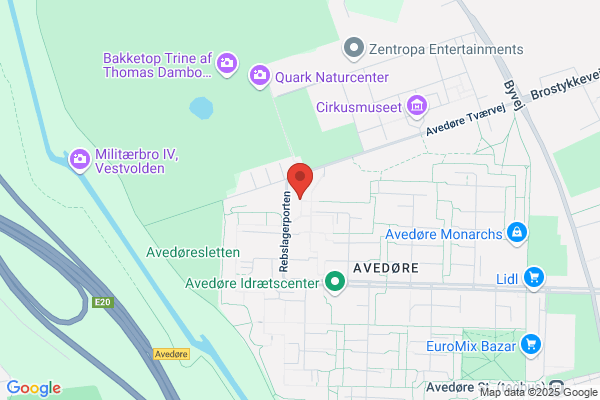 Avedøre Terrassehuse, Grundejerforeningen