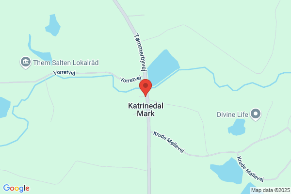 Katrinedal, Grundejerforeningen