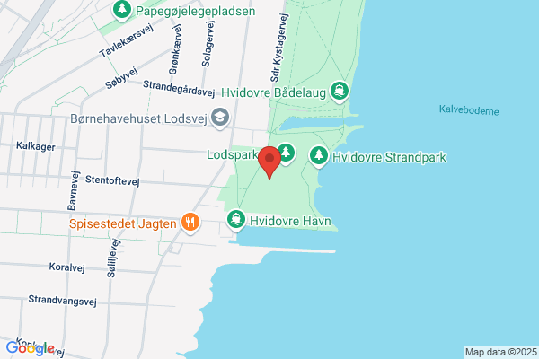 Strandgården-Syd, Grundejerforeningen