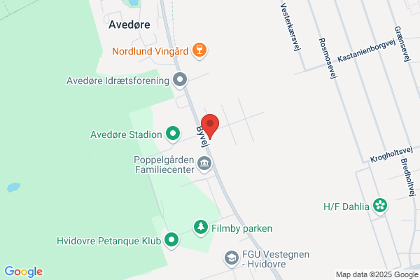 Vikingelandsbyens Venner