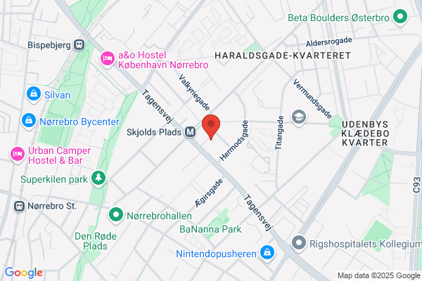 Iranske Forening i Danmark, Den