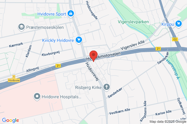 Danish International Driving School