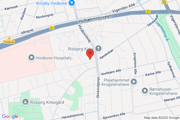 Hellig Kors Skole UU Vejleder
