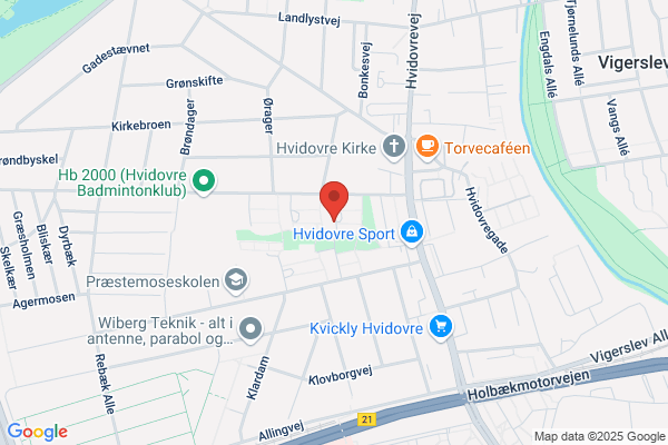 Igalo Håndværkerservice v/ Zdravko Raicevic