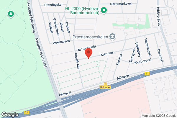 MalerKongstad