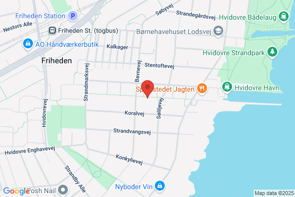 Trille Skjelborg