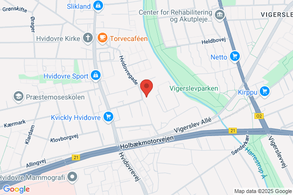 Det Frivillige Ældrearbejde