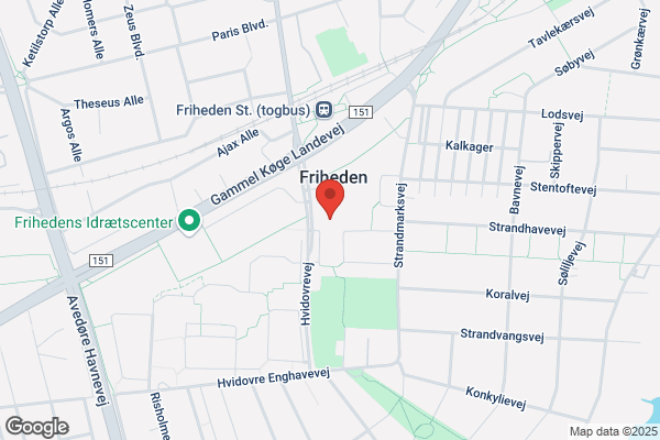 LEV, Landsforeningen