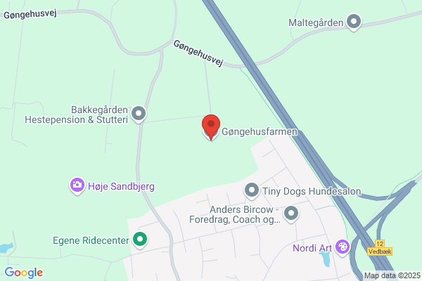 Puljeordningen Gøngehesten