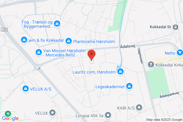Avis Biludlejning