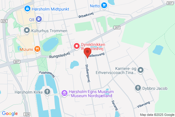 Schyberg VVS Entreprise ApS