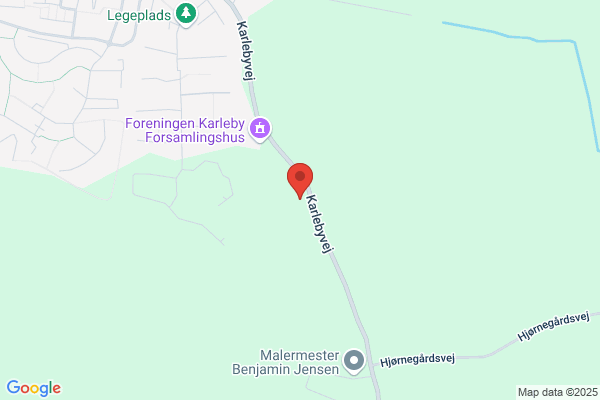 Svanereden Pasningsordning