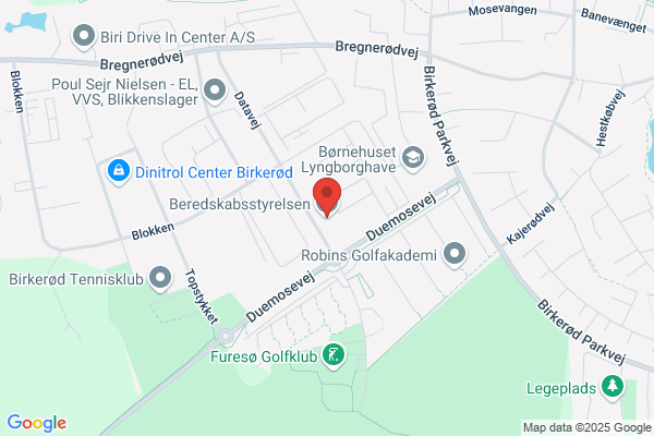 Birkerød Netværksforening BNF (Niels S. Larsen)