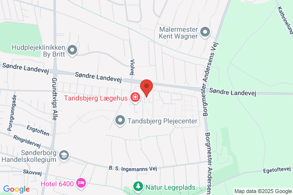 Danske Huguenotsamfund Det