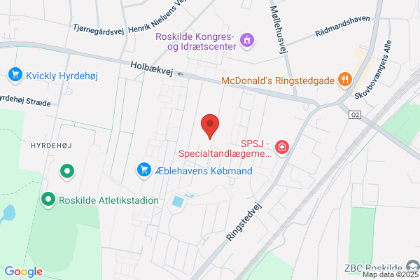 DEN GLADE Vinduespudser