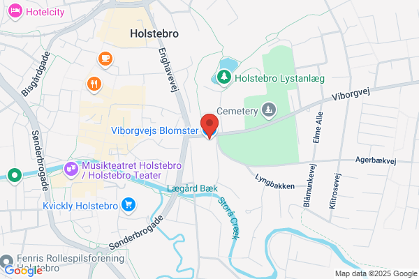 Blomster Miljø