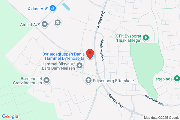 Dyrlægegruppen Frijsenborg, Gerda Holm