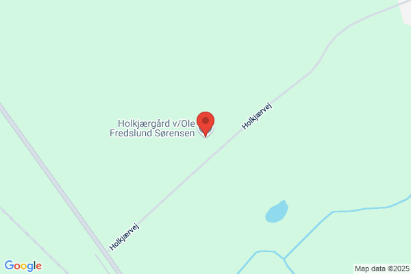 Sørensen, Ole
