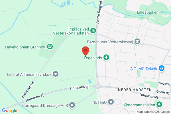 Venstre i Hadsten Kommune