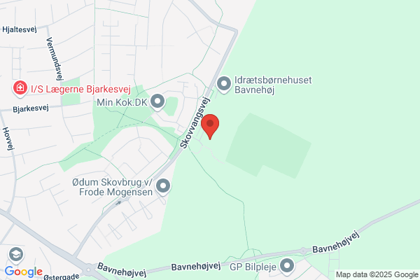 Bavnehøjskolen