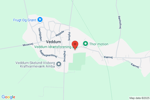 Veddum Husflidsforening Thor