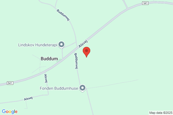 Buddum Vandværk