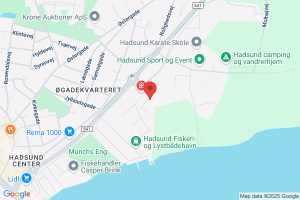 Erhvervenes Revisionsanstalt