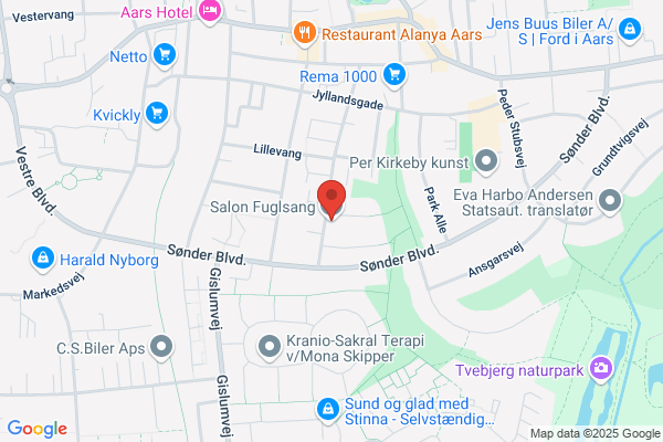 Fuglsang, Salon